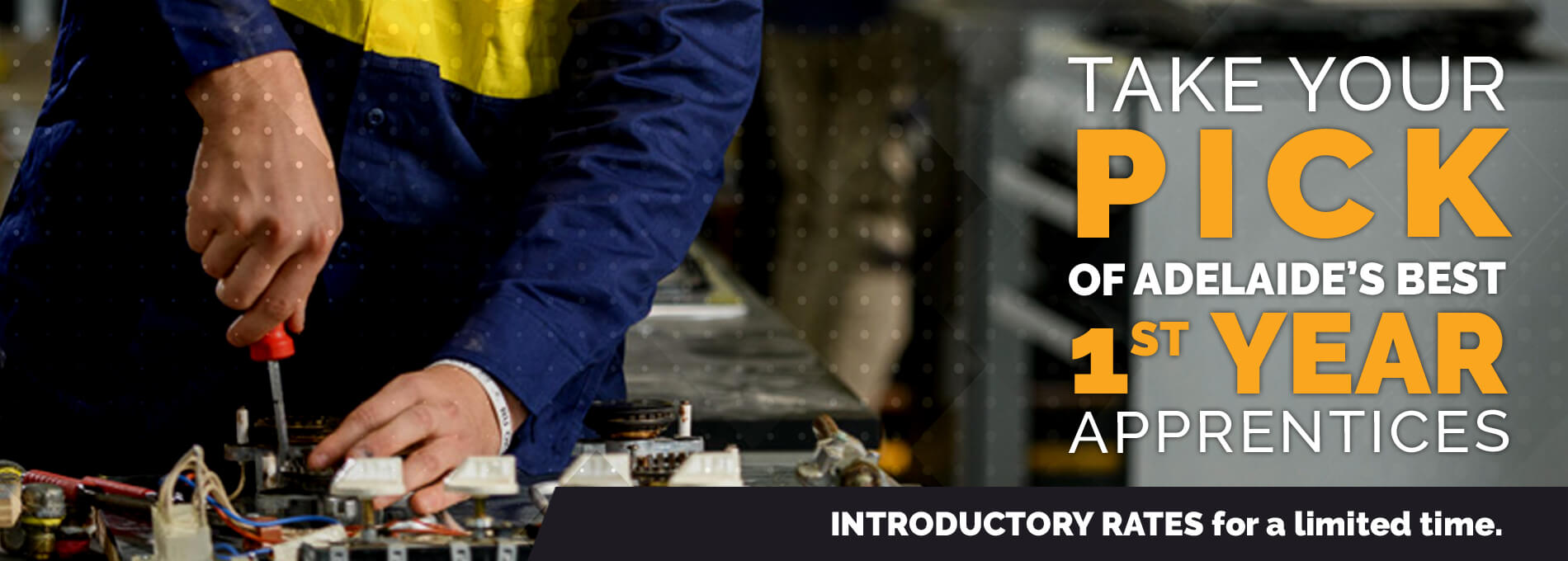 The PICK of Adelaide’s 1st year apprentices